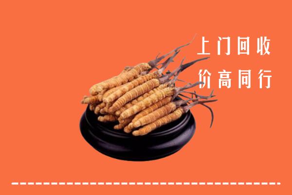 高价求购：济宁市汶上回收散虫草