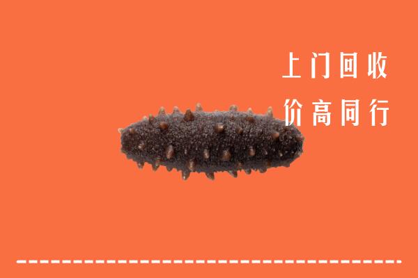 高价求购：济宁市汶上回收海参